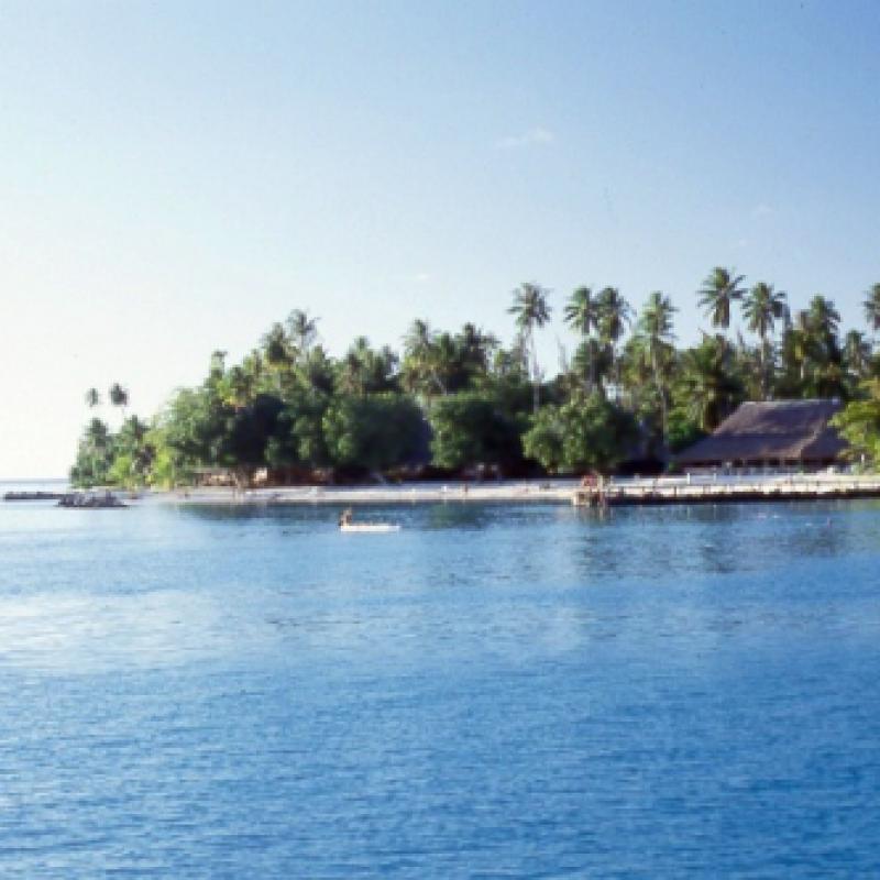 fotogallerie