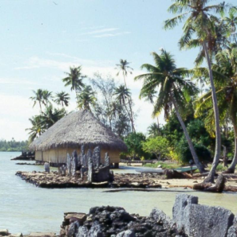 fotogallerie