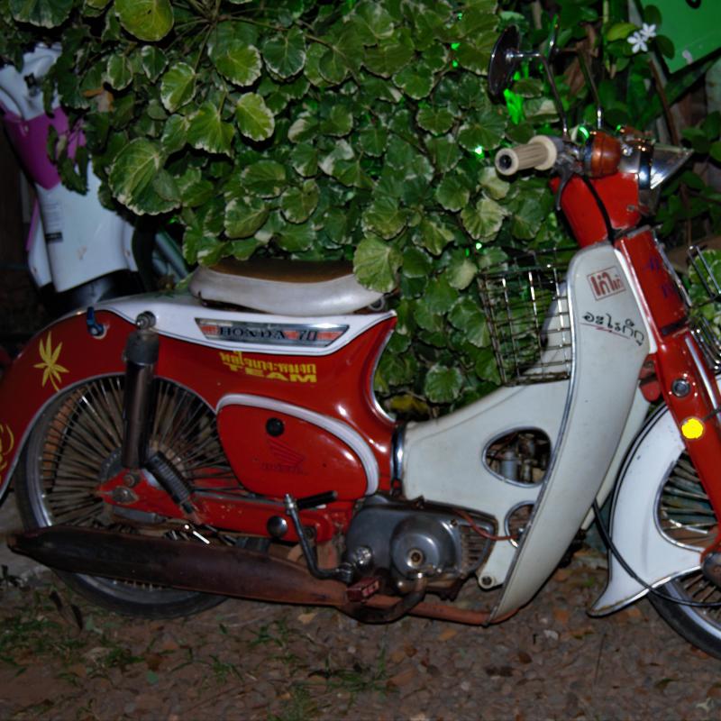 fotogallerie
