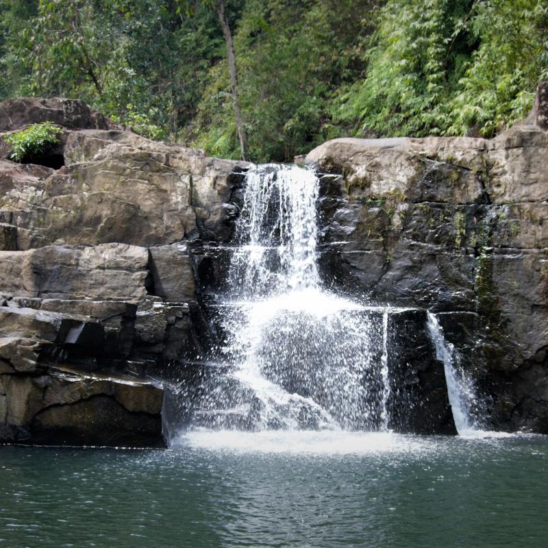 fotogallerie