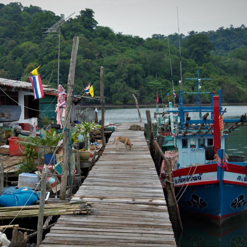 fotogallerie