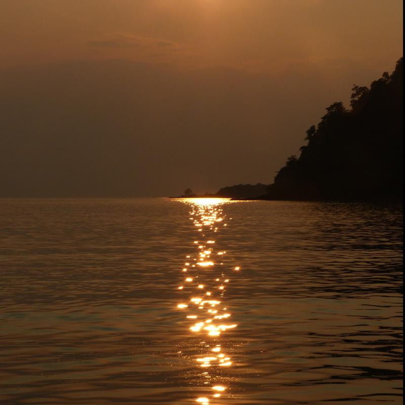 fotogallerie