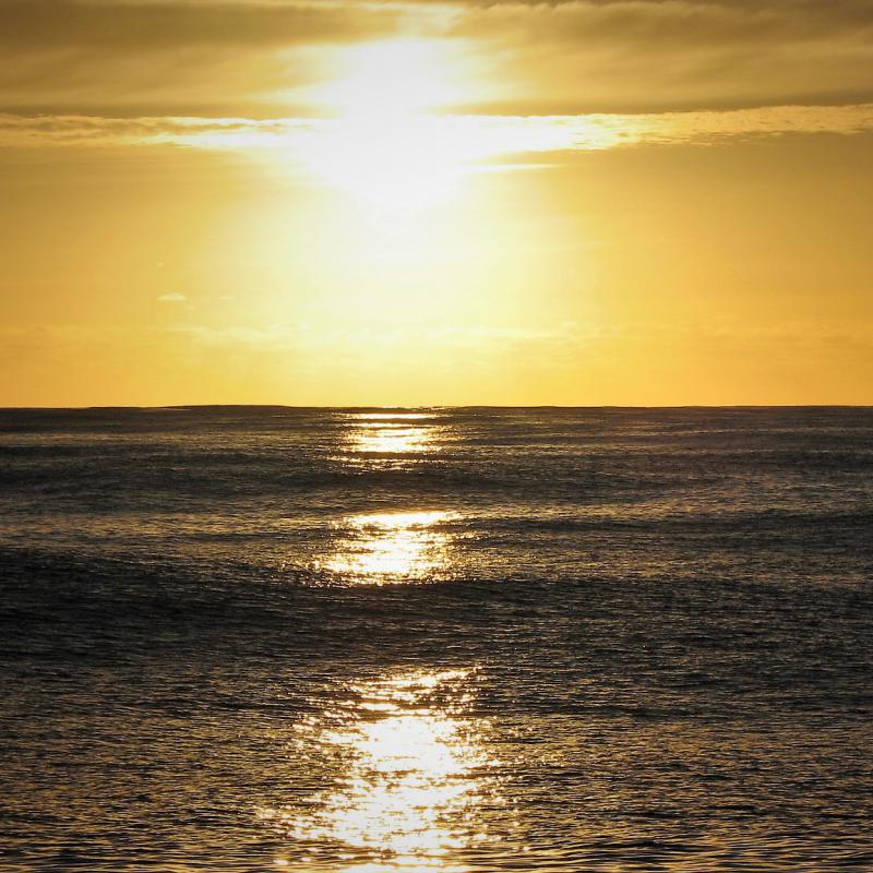 fotogallerie