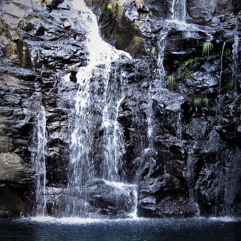 fotogallerie